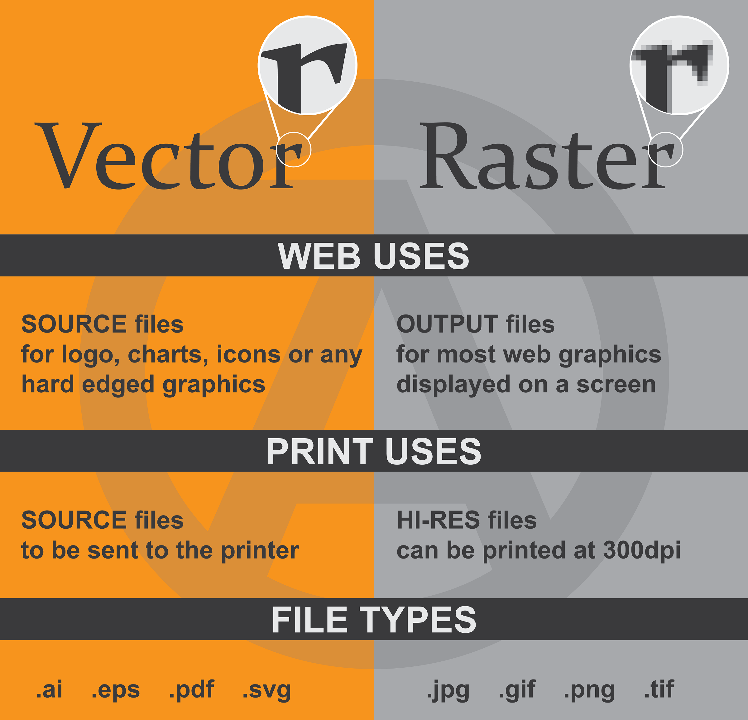 Vector-vs-Raster