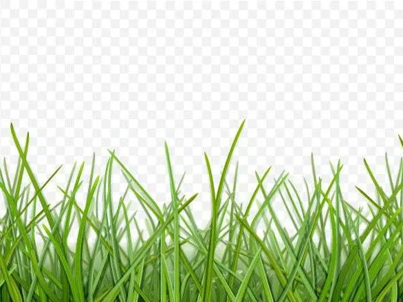 Make-Background-Transparent